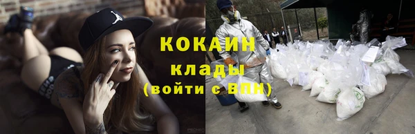 эйфоретик Богданович
