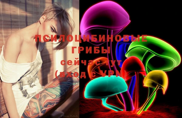 эйфоретик Богданович
