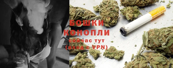 эйфоретик Богданович
