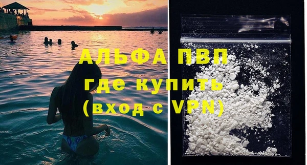 сатива Богородицк