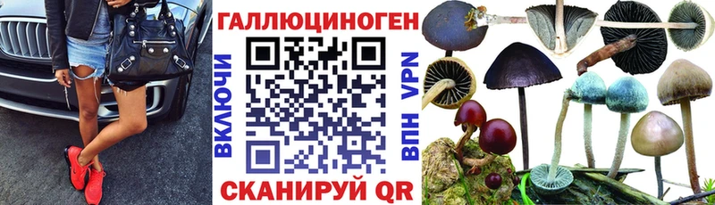 купить наркоту  Хабаровск  Псилоцибиновые грибы Psilocybe 